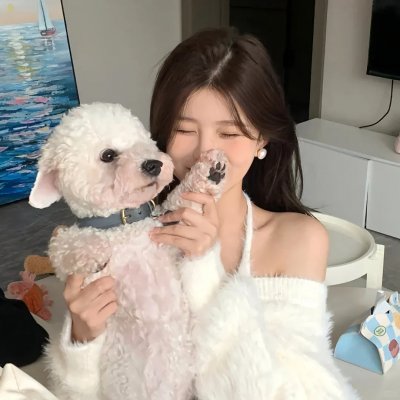 护照